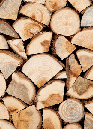Продам дрова рубані в Складометрах