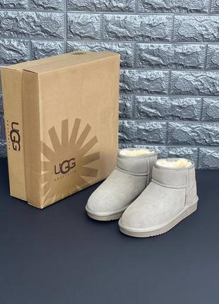 Женские угги ugg australia низкие серые угги