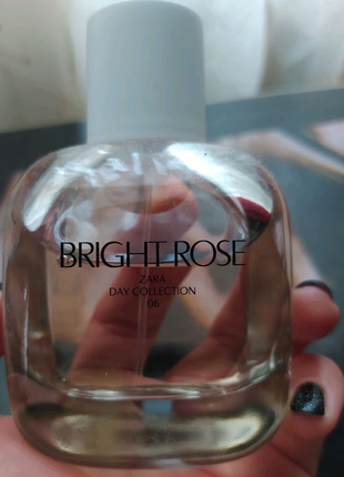 Zara Bright Rose 🌹