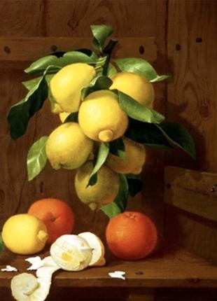 Алмазная мозаика вышивка Натюрморт с лимонами и апельсинами Ян...