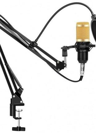 Конденсаторный микрофон студийный M-800U PRO-MIC (для ПК)