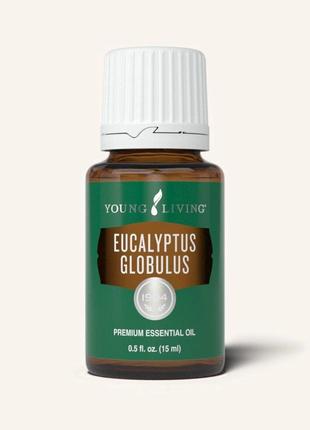 Эфирное масло Эвкалипта (Eucalyptus globulus) Young Living Код...