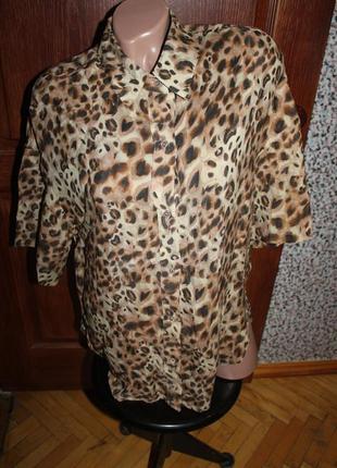 Блуза блузка леопард pull&bear