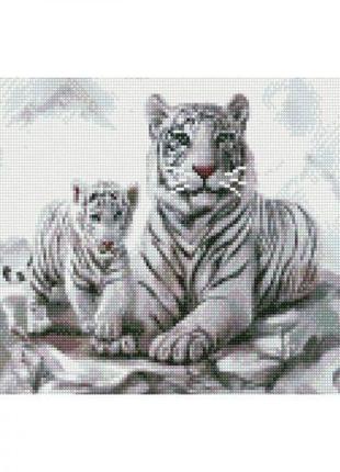 Алмазна мозаїка "Білі тигри" [tsi182042-ТSІ]