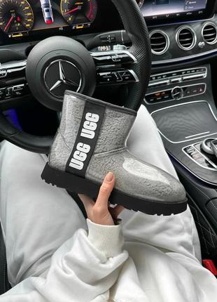 Зимние женские ботинки ugg classic mini clear grey