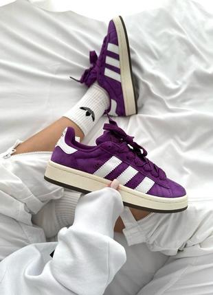 Жіночі кросівки adidas campus «purple skate » premium