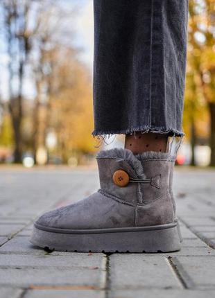 Зимние женские ботинки ugg mini bailey button plarform grey (n...