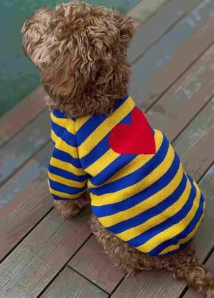 Свитер вязаный для собак, полосатый, сине-желтый с сердцем