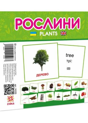 Развивающие детские карточки Растения 145596 на украинском и а...