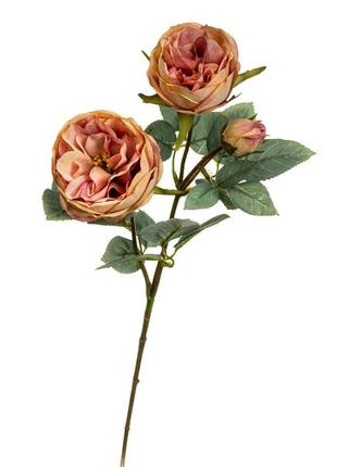 Веточка розы, розовая