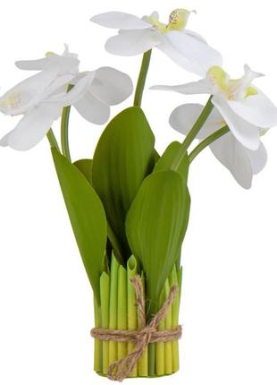 Букет орхидей, белый