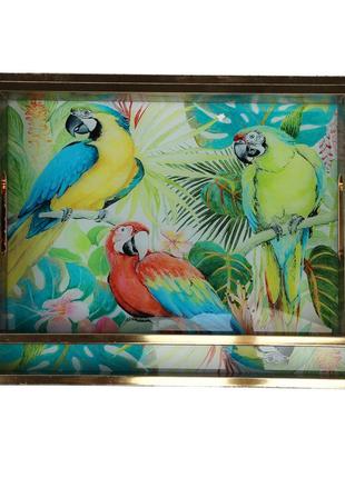Набор подносов "тропические попугаи"