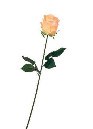 Роза, розовая, 69 см