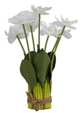 Букет орхидей, белый