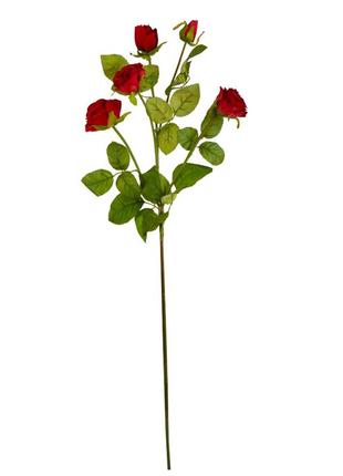Роза "мирабель", красная, 56 см