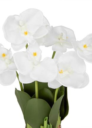 Букет орхидей 33 см, белый