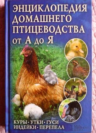 Энциклопедия домашнего птицеводства от А до Я. П. Крылов