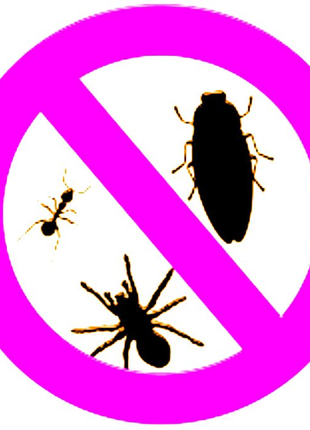 Уничтожение насекомых тараканов, Прусаков, муравьев. Гарантия.