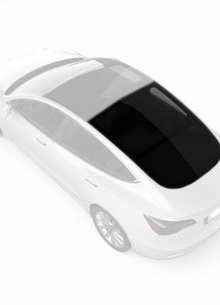 Заднее панорамное стекло Tesla Model 3 (2017-) /Тесла Модел 3