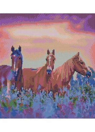 Алмазна мозаїка "лошаді на квітковому полі" dbs1018, 40x50 см