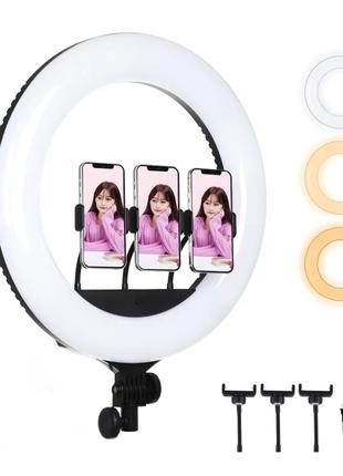 Кольцевая лампа Ring Fill Light QX-330 33см с 3мя держателемя ...