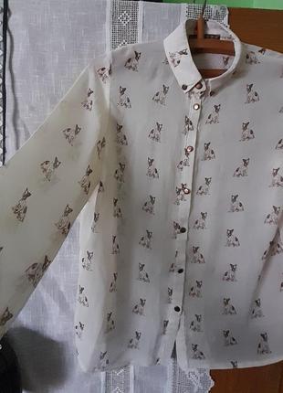 Шифонова блуза в принт бульдоги