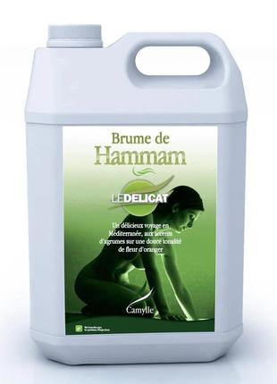 Ароматизатор (эмульсия) для хаммама brume de hammam - деликатн...