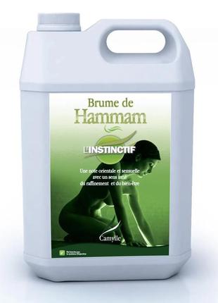 Ароматизатор (эмульсия) для хамамама camylle brume de hammam -...