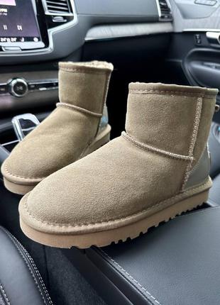 Женские замшевые угги ugg classic mini mokko suede