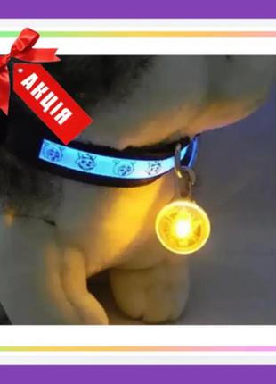 Светодиодный led фонарик для собак на ошейник брелок фонарик д...