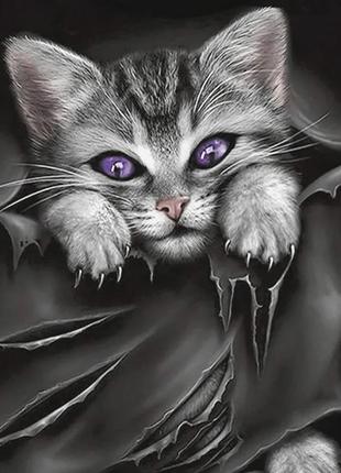 Алмазная мозаика вышивка Черный кот госпожи кошка радужный пол...