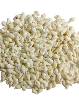 Ракушка морская натуральная Улитка цвет белого риса 100 гр
