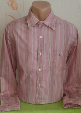 Розовая рубашка в разноцветную полоску lacoste,💯 оригинал, мол...