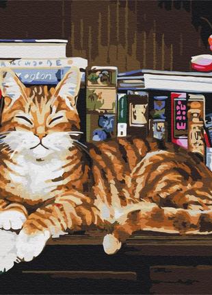 Кіт на книжковій полиці