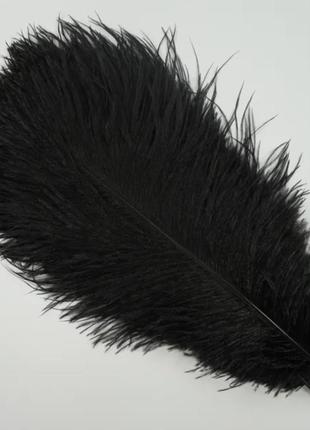 Черные перья