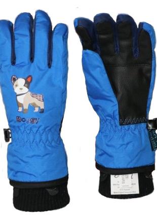 Детские перчатки Echt горнолыжные, синий (C082-blue) - 6-7 років