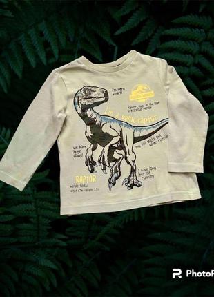 Реглан. кофта. футболка с длинным рукавом. динозавр