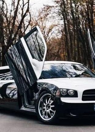 282 Dodge Charger Limo аренда лимузина