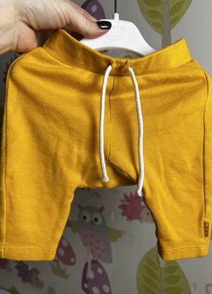 Желтые мягкие штанишки на новорожденных бренде hema 56