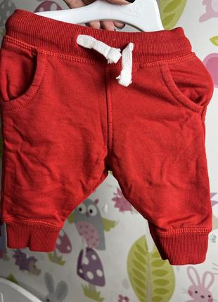 Hema штанишки для ребенка 0-3 месяцев 56 размера
