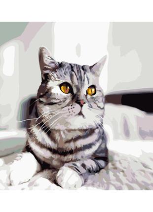 Картина по номерам Strateg Игривая серая кошка с лаком 40x50 с...