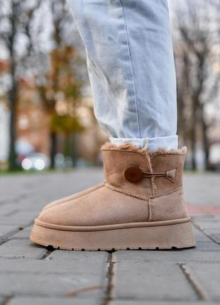 Зимние женские ботинки ugg mini bailey button plarform beige (...