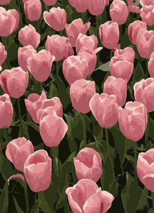Картина по номерам Strateg Розовые тюльпаны 20x20 см HH5113 HH...