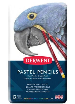 Пастельные карандаши Pastel 12цв Derwent