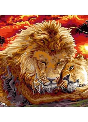 Картина за номерами Babylon Ніжність лева 30х40 см у коробці V...