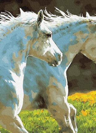 Картина по номерам Brushme Пара белых лошадей 40х50см BK-GX301...