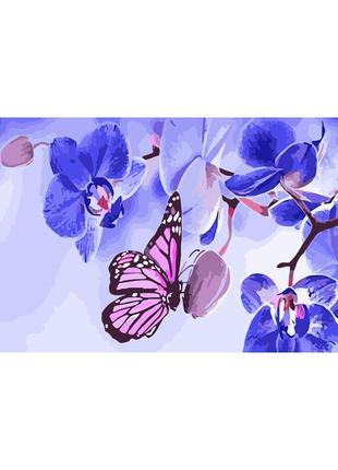 Картина по номерам Strateg Бабочки на орхидеях 50x25 см WW052 ...