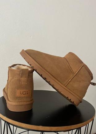 Ugg ultra mini