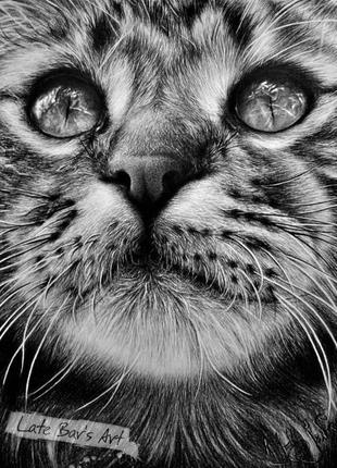 Портрет котенка - красивый подарок (простой карандаш, фотореал...