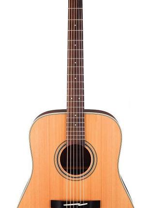 TAKAMINE GD20-NS Акустична гітара